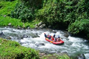 rafting2 -